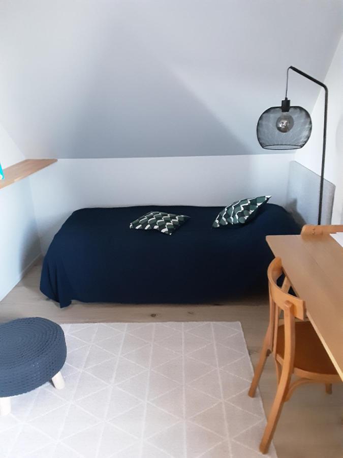 Charmant Appartement A 150 M Des Thermes Et Du Centre Ville Thonon-les-Bains Esterno foto