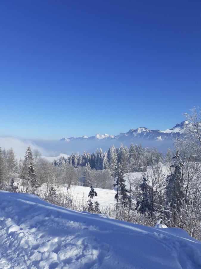 Charmant Appartement A 150 M Des Thermes Et Du Centre Ville Thonon-les-Bains Esterno foto