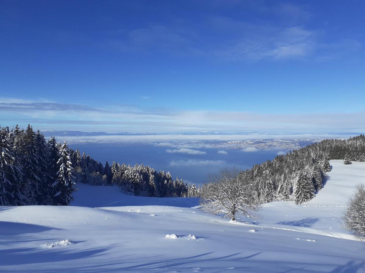 Charmant Appartement A 150 M Des Thermes Et Du Centre Ville Thonon-les-Bains Esterno foto