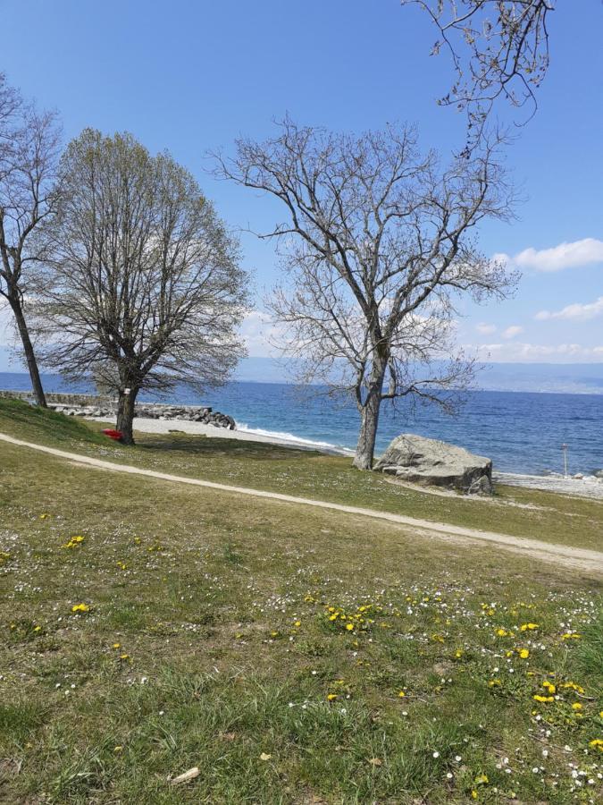 Charmant Appartement A 150 M Des Thermes Et Du Centre Ville Thonon-les-Bains Esterno foto
