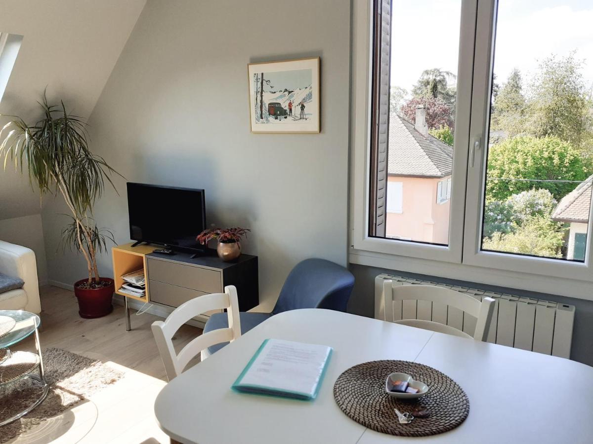 Charmant Appartement A 150 M Des Thermes Et Du Centre Ville Thonon-les-Bains Esterno foto